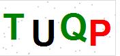 看不到验证码？点击重新换一个！