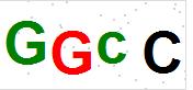 看不到验证码？点击重新换一个！
